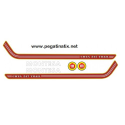 Stickers decals MONTESA 247 TRIAL