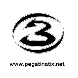 Stickers decals motorcycle BIAGGI 3