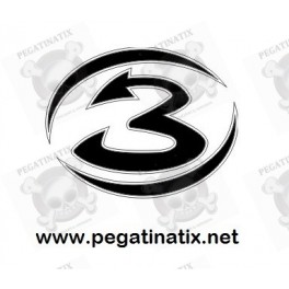 Stickers decals motorcycle BIAGGI 3