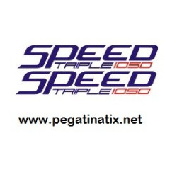 Decals TRIUMPH SPEED TRIPLE 1050