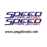 Decals TRIUMPH SPEED TRIPLE 1050