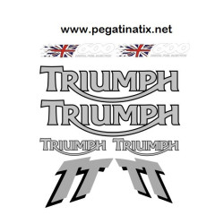Decals TRIUMPH TT600