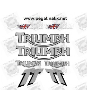 Decals TRIUMPH TT600