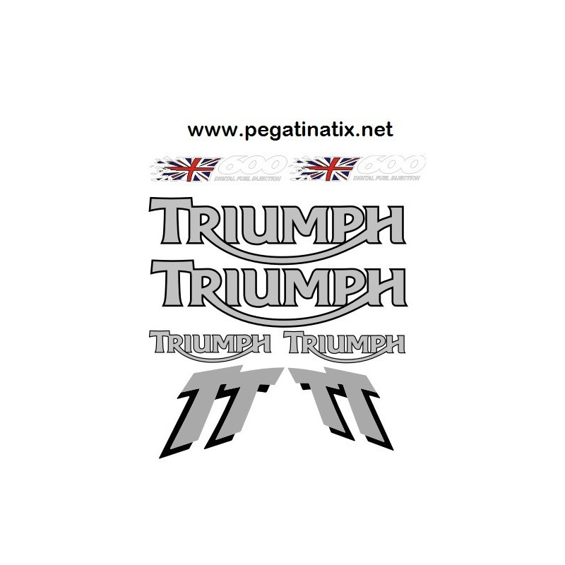 Decals TRIUMPH TT600