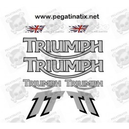 Decals TRIUMPH TT600