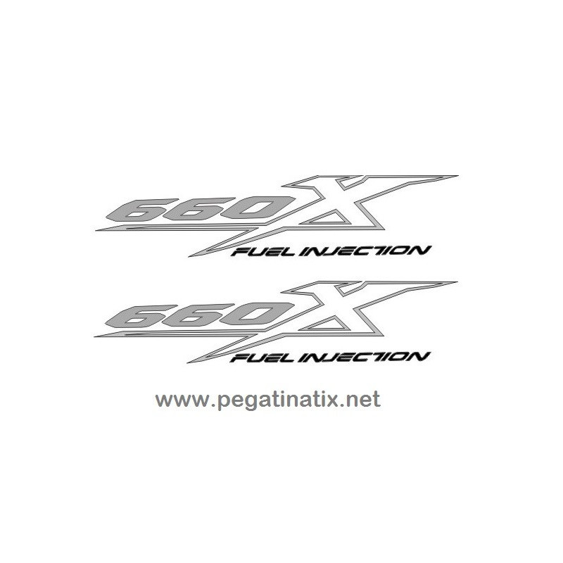  STICKERS DECALS YAMAHA 660X
