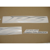 Yamaha YZF-R6 2008 - SILVER VERSION DECALS SET