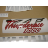 Yamaha YZF 1000R 1997 - BURGUNDY/SILVER VERSION DECALS SET
