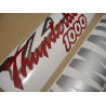Yamaha YZF 1000R 1997 - BURGUNDY/SILVER VERSION DECALS SET