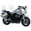 YAMAHA FZS600 FAZER 1999 - SILVER VERSION DECALS SET (Compatible Product)