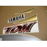 YAMAHA TDM 850 1999 GOLD/SILVER VERSION DECALS SET