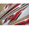 YAMAHA YZF-R1 2009-2012 CUSTOM CHROME RED DECALS SET