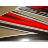 Suzuki GSX-R 1000 2007 - SILVER/RED VERSION DECALS SET