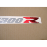 SUZUKI HAYABUSA 2003 - 40th ANNIVERSARY VERSION DECALS