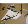 SUZUKI HAYABUSA 2009 - GREY/SILVER VERSION DECALS
