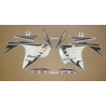 SUZUKI HAYABUSA 2009 - GREY/SILVER VERSION DECALS