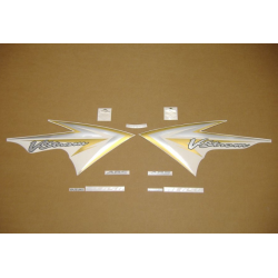 SUZUKI DL650 V-STROM 2011 - BLACK VERSION DECALS