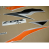 Honda CBR 600RR 2009 - GREEN/BLACK VERSION DECALS