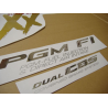 Honda CBR 1100XX 2000 - BLUE VERSION DECALS