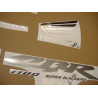 Honda CBR 1100XX 2003 - MATTE BLACK/SILVER DECALS