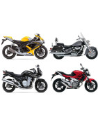 Adhesivos ruedas Suzuki 