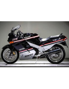 KAWASAKI ZX-10 TOMCAT